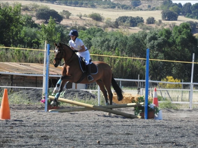 Salto a cavallo 