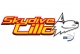 Skydive Lillo 
