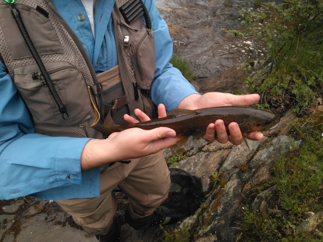 Pescando a mosca con profesionales 