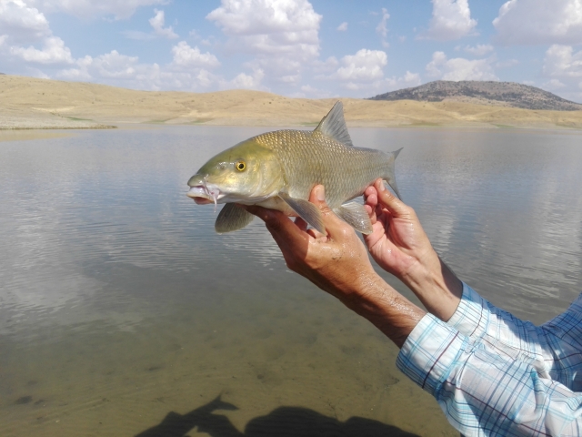 Mostrando su pesca