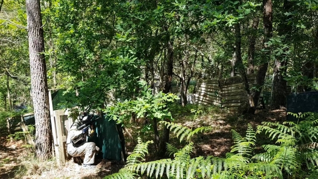  Nascondersi nel sottobosco 