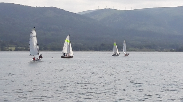  Several sailboats in the reservoir 