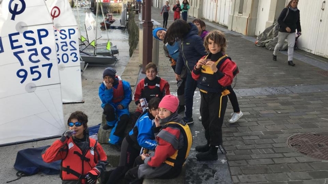 The little ones regaining strength next to the sailboats 