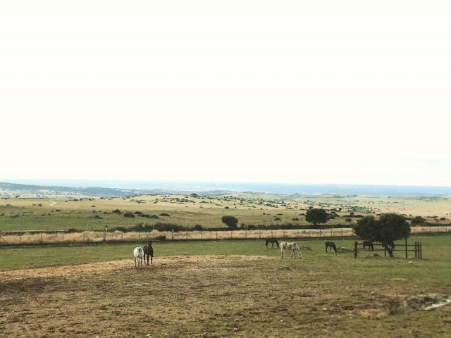 Vistas desde la sierra