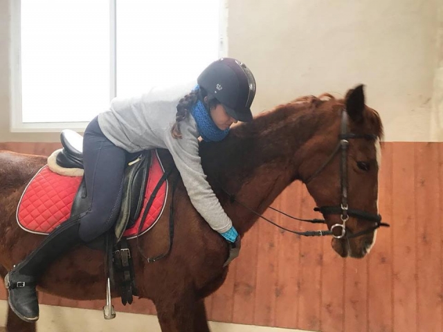 Mucho amor a nuestros caballos