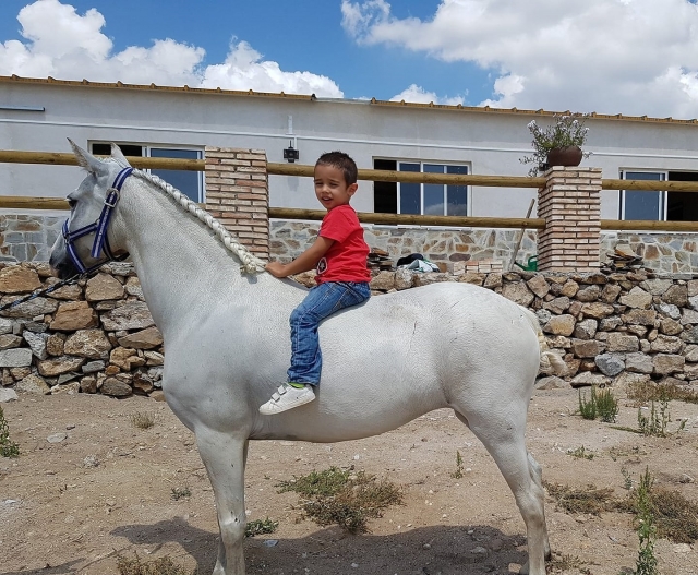 Nino montando en caballo