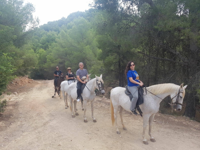  Itinéraire équestre à travers les montagnes valenciennes 