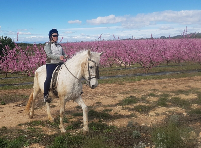  Avec le cheval dans des paysages uniques 