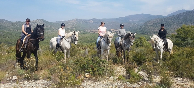  Amis à cheval 