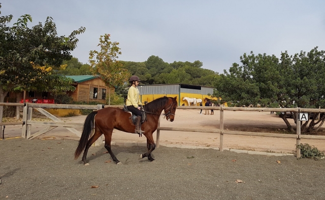 À propos d'un de nos beaux chevaux 