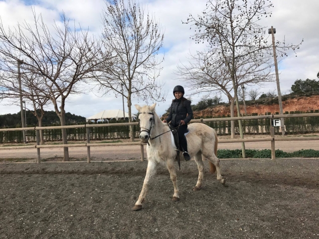  Un étudiant international en équitation 