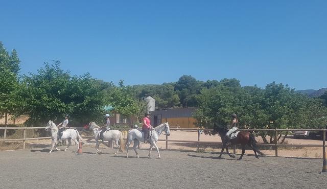  Cours d'équitation pour tous niveaux 