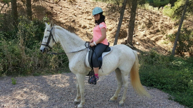  Cavalier à cheval en montagne 