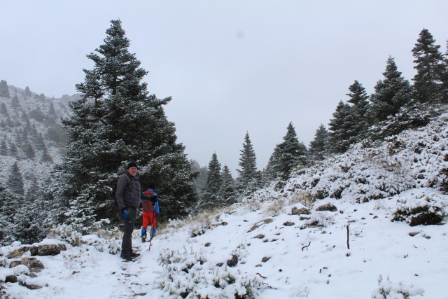 Nella Sierra de las Nieves 
