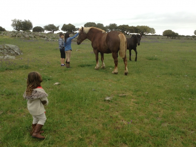  Children with the horses 