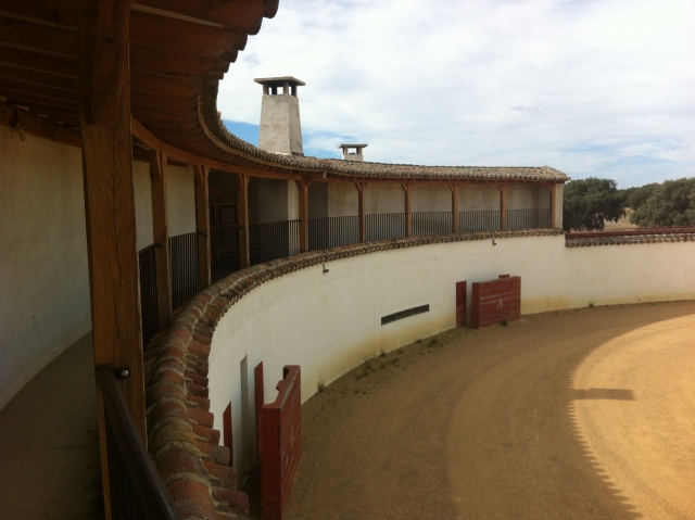  Our bullring 