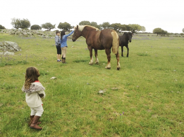  Kids interacting with our animals 