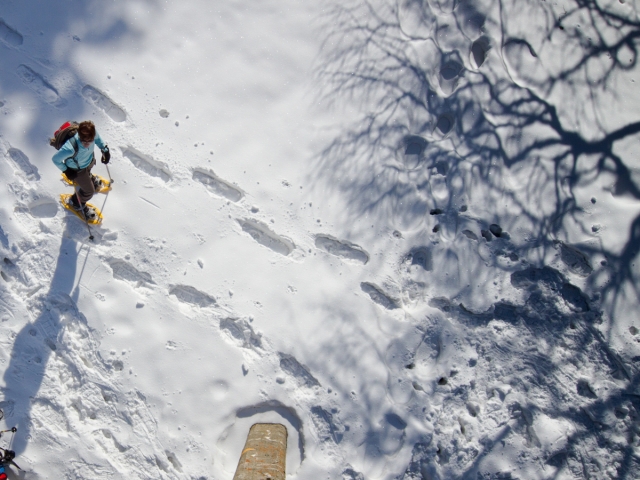  雪鞋徒步 