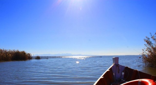  Entdecken Sie die Albufera mit dem Boot 