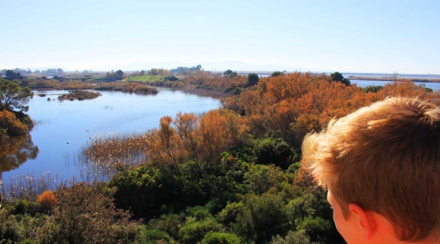  Lernen Sie die Albufera von innen kennen 