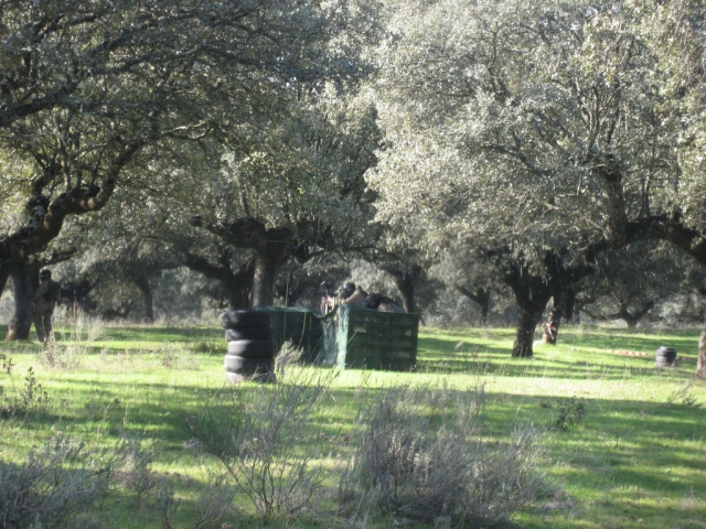  Feld in Arganda 