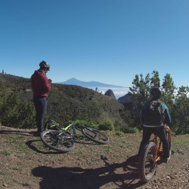 Bicicletas para ir en la mejor compania