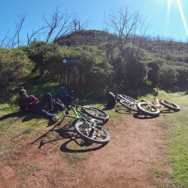 Descansando bajo el sol de la ruta