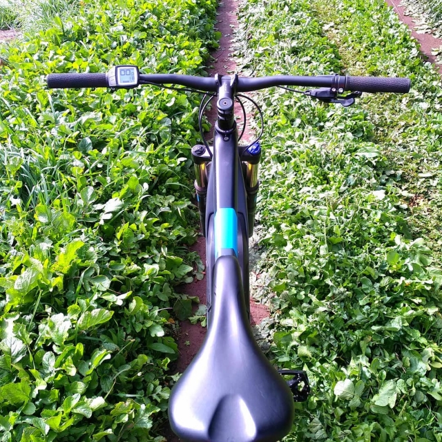 Alquila tu bici para recorrer lo que quieras
