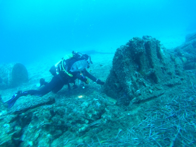Descubriendo el fondo marino entre peces