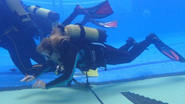 Bautismo de buceo en la piscina
