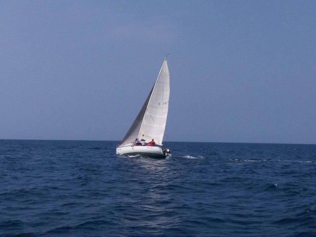 e-19751419-20248274-1792431667438966-6056823467965611388-o15511998744201.jpg