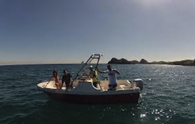 e-19751435-barco1.jpg