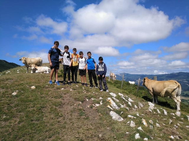  Auf dem Gipfel des Berges mit den Kühen 