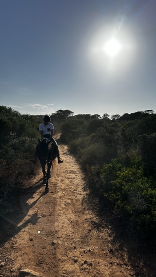 res_o-64991-rutas-a-caballo_de_charlotte-fetter_17533376532290.jpeg