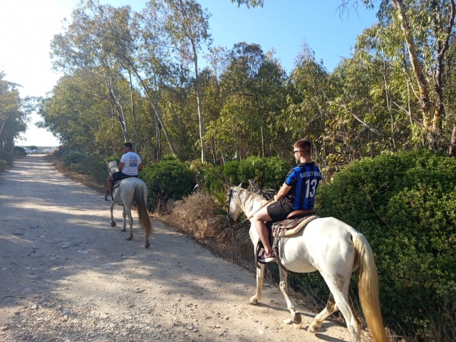Opinión de Rodrigo sobre Ruta a caballo marismas de Chiclana, 1h 30mins