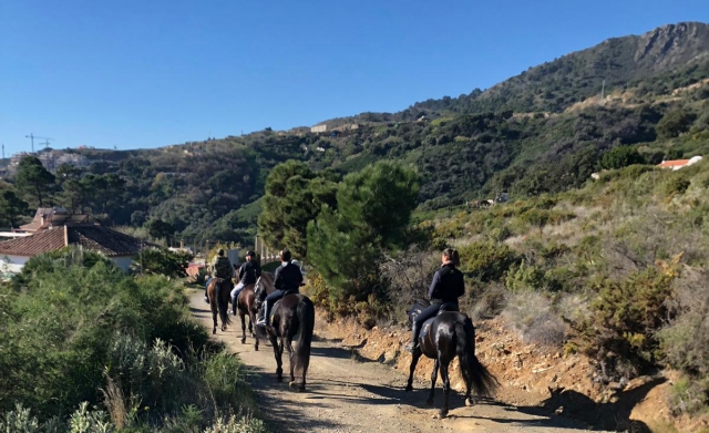  Horseback riding in Marbella 