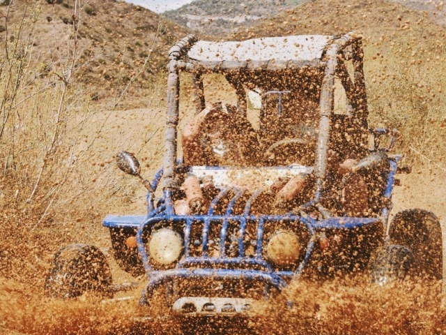  buggy spling lama 