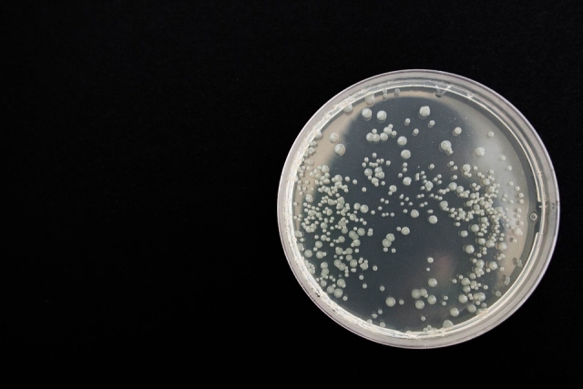  Bacteria lethal to humanity 