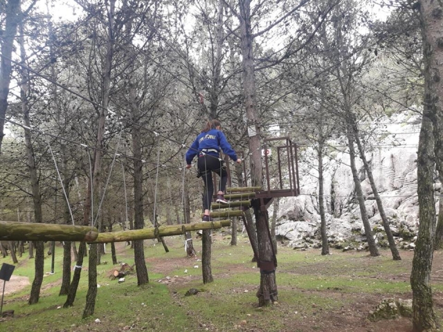  Crossing the trunks 