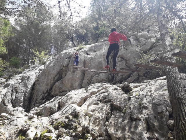  Several meters from the ground 
