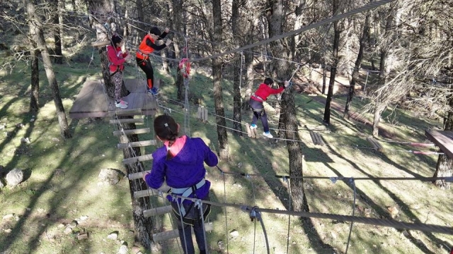  Hanging bridges 