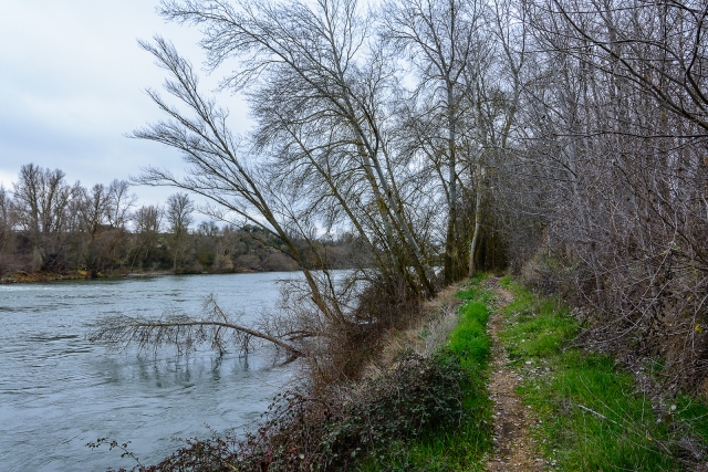 Das Flussufer 
