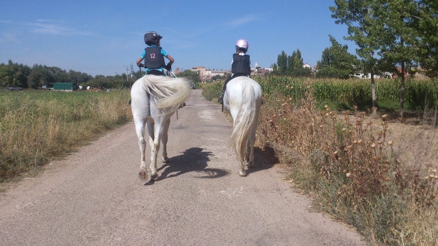 e-19751833-caballo-tordesilla15538578014052.jpg