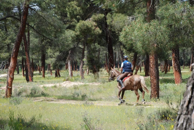  Route in Tordesillas 
