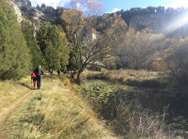 e-19751847-rio-lobos15541980086904.jpg