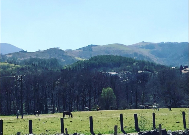 Un entorno unico para los caballos