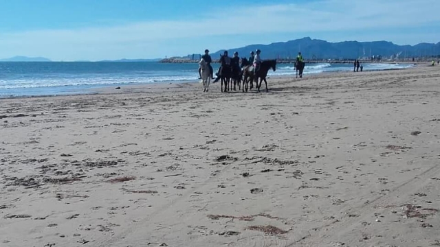  Horseback riding 