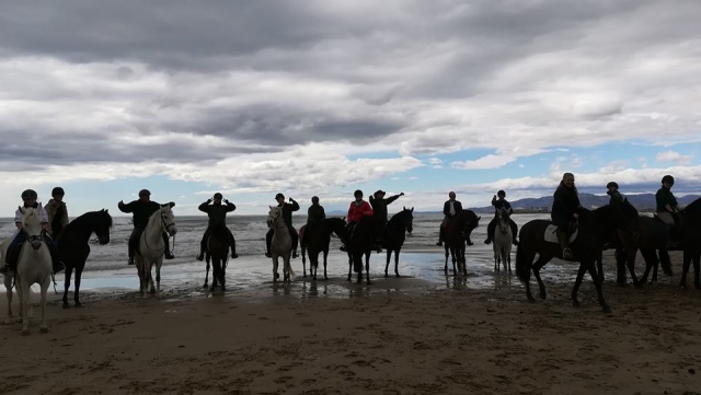  On the sand 