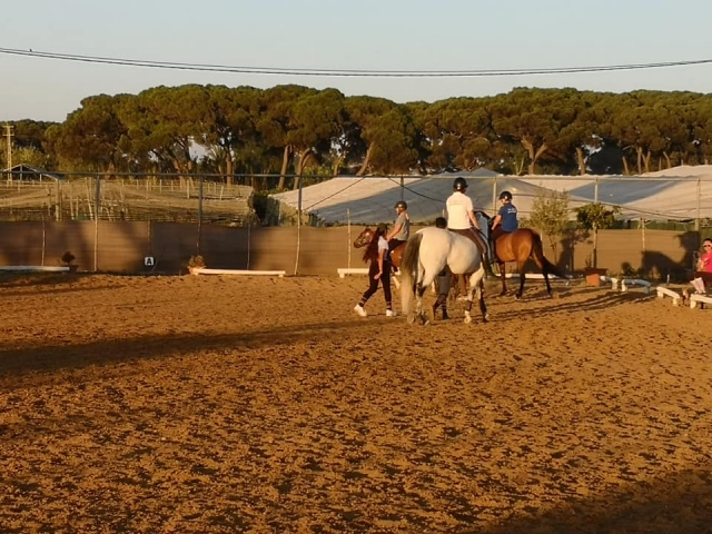 Practicando con los caballos en recinto cerrado
