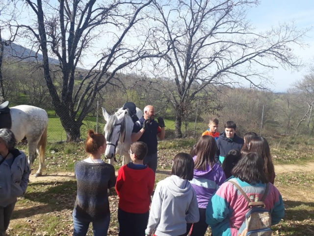  Vorbereitung vor dem Reiten 